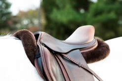 Sheepskin Comfort Half Pad - Trifecta 12 Sheepskin Comfort Half Pad - Trifecta -Equestrian Supply Store 7024 DB2
