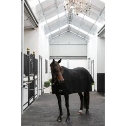 Deluxe Quilted Wool Rug 10 Deluxe Quilted Wool Rug -Equestrian Supply Store DD19 74