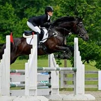 Sheepskin Trimmed Trifecta Cotton Half Pad 6 Sheepskin Trimmed Trifecta Cotton Half Pad - Image 6