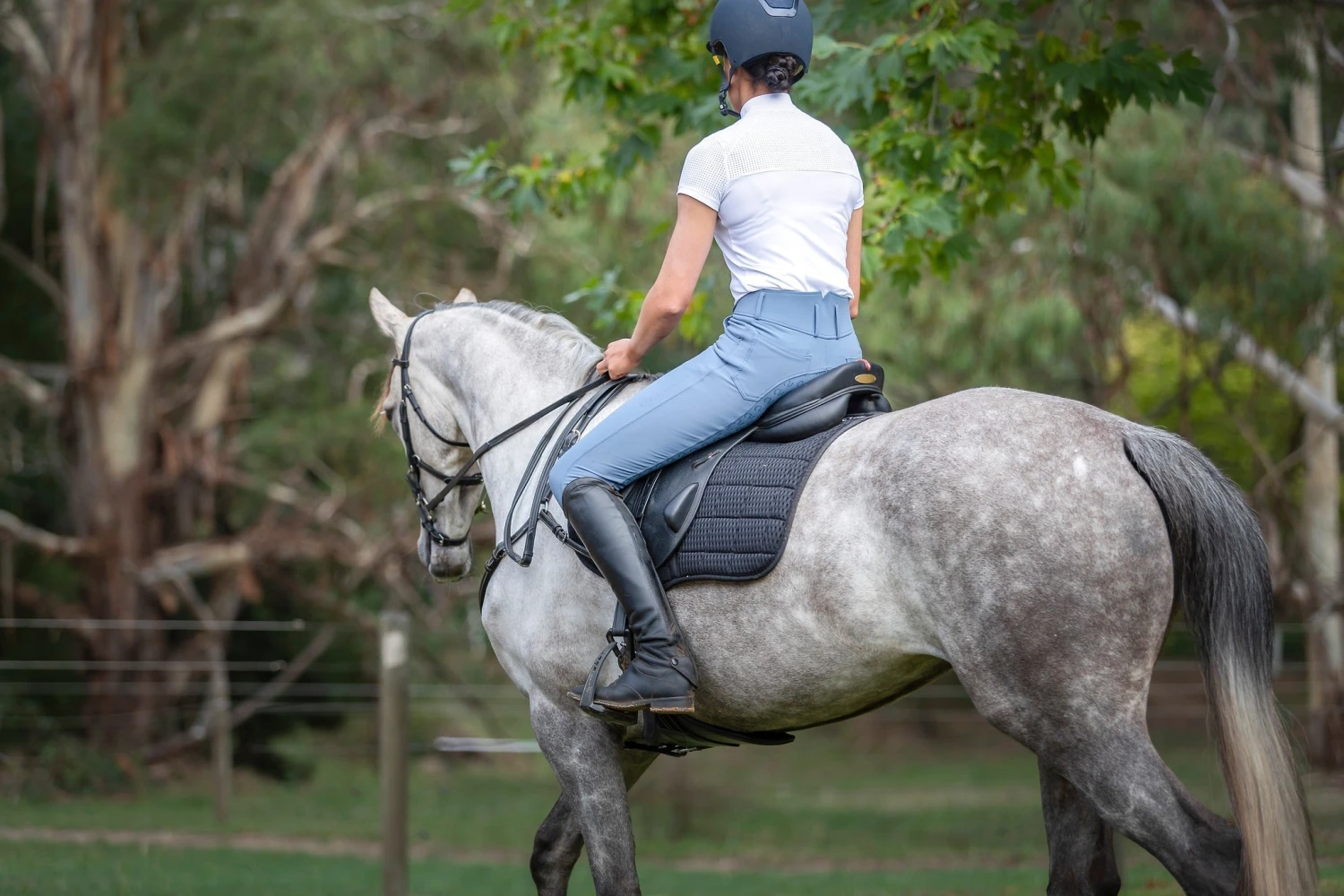 Limited Edition QJ Riding Wear Hannah High Waisted Breech 5 Limited Edition QJ Riding Wear Hannah High Waisted Breech - Image 5