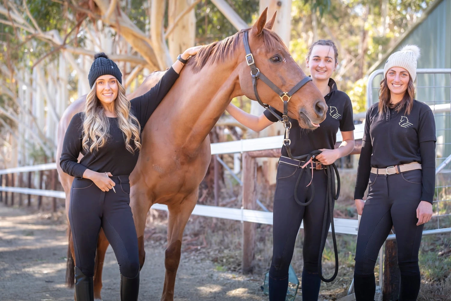 Navy Kate Breech By QJ Riding Wear 2 Navy Kate Breech By QJ Riding Wear - Image 2