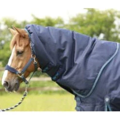 Navy PEI Titan 200g Turnout Rug With Detachable Neck - High-Quality Equestrian Product -Equestrian Supply Store navy pei titan 200g turnout rug with detachable neck high quality equestrian product vivarchie equestrian 3