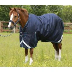 Navy PEI Titan 200g Turnout Rug With Detachable Neck - High-Quality Equestrian Product -Equestrian Supply Store navy pei titan 200g turnout rug with detachable neck high quality equestrian product vivarchie equestrian 4