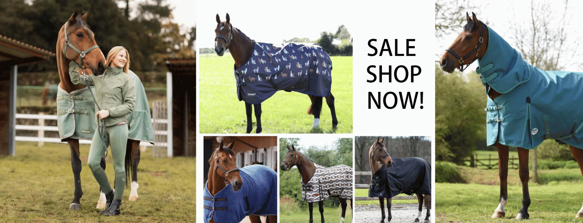 Equestrian Supply Store -Equestrian Supply Store SDGD